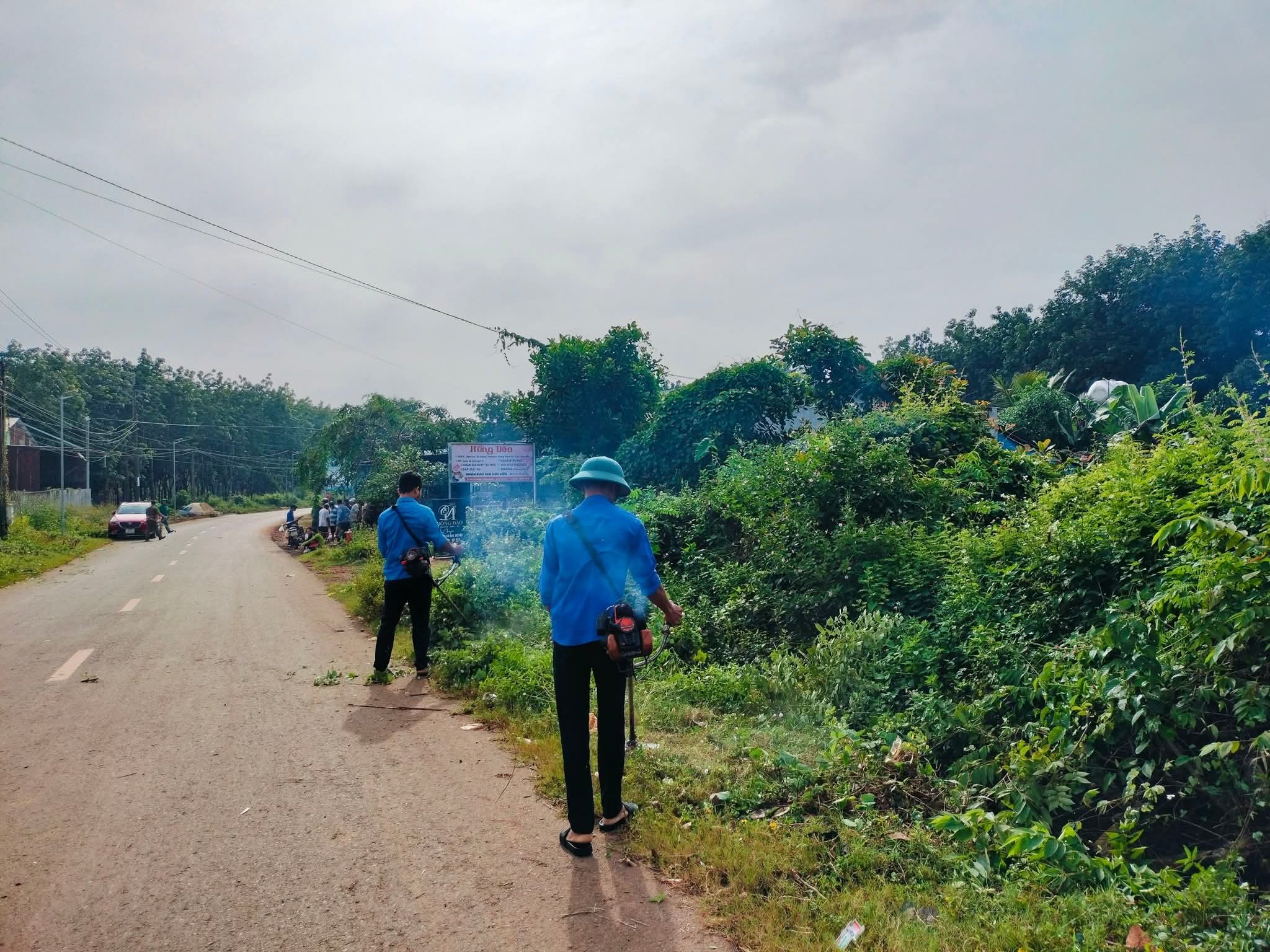 Có thể là hình ảnh về một hoặc nhiều người, đường, cỏ và sương mù