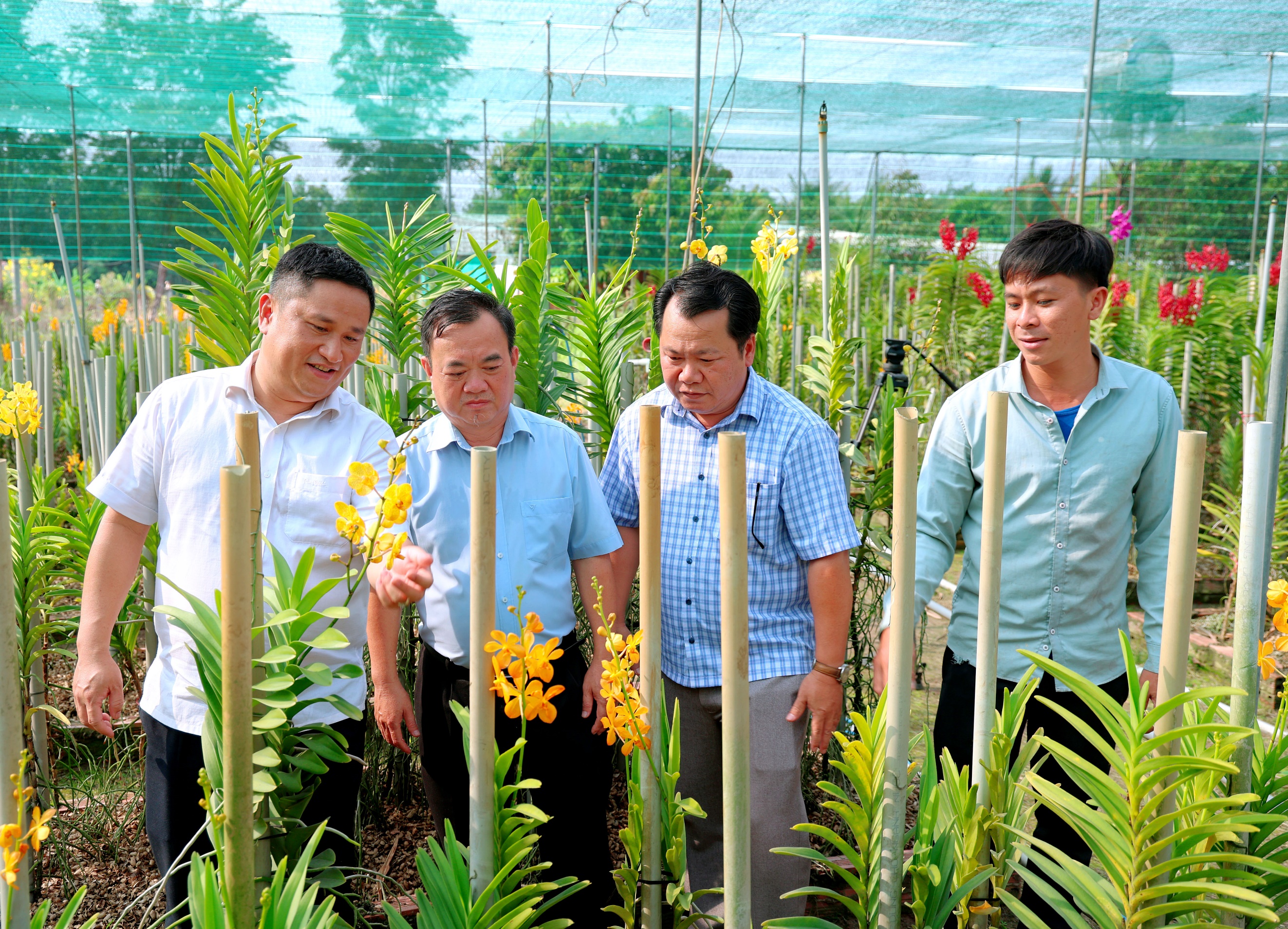 ''A group of men standing in a garden

Description automatically generated''